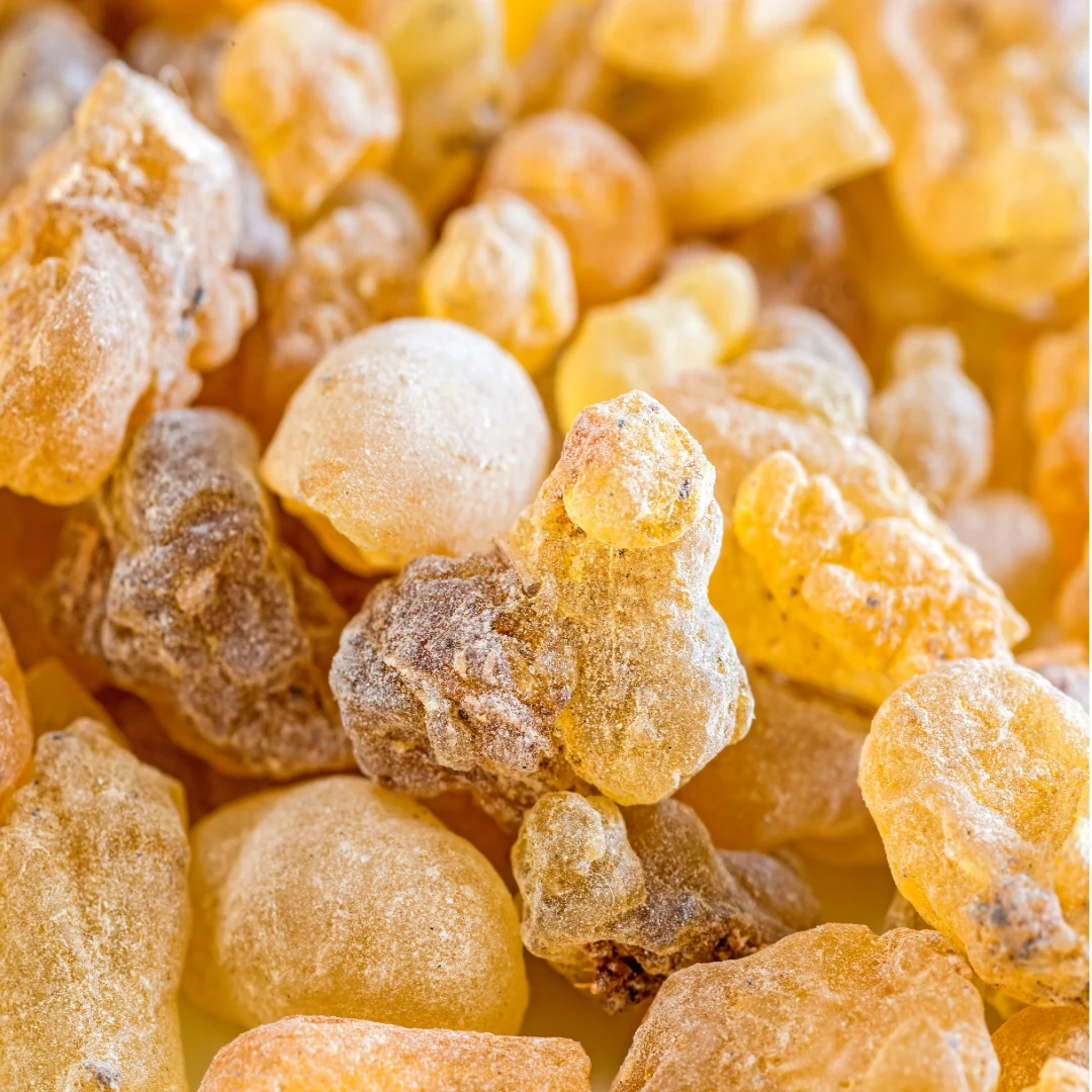 Boswellia Serrata Extract